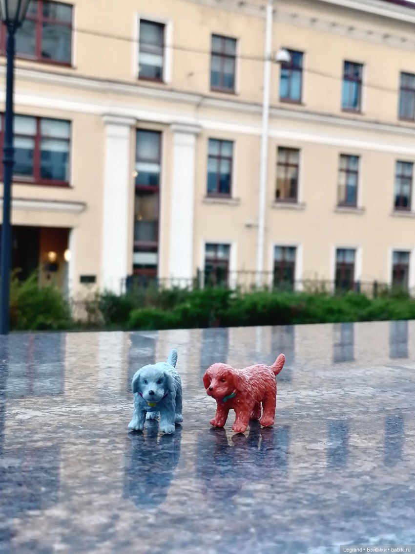 Лурения - Петербург: небольшая прогулка с собачками от Kari