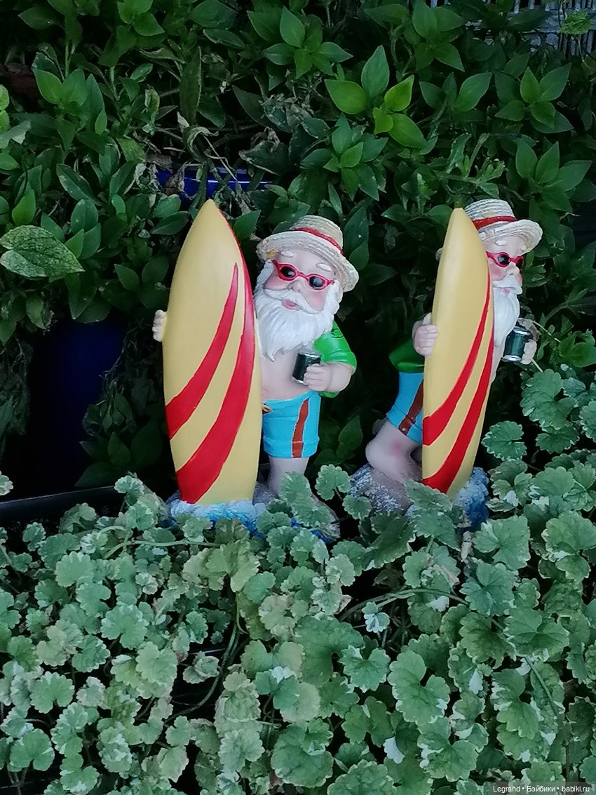 Лурения - Петербург: небольшая прогулка с собачками от Kari