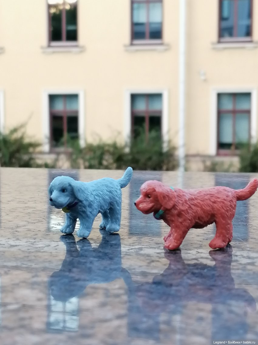 Лурения - Петербург: небольшая прогулка с собачками от Kari