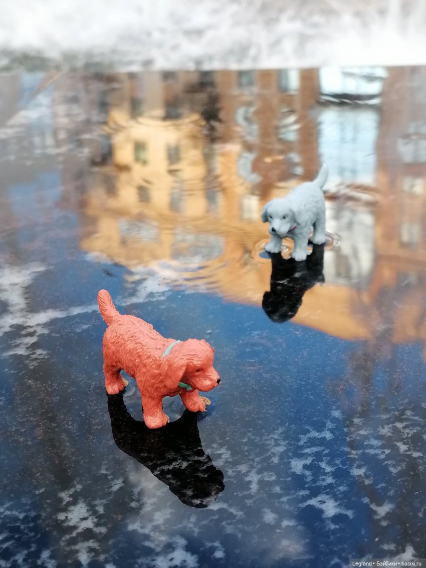 Лурения - Петербург: небольшая прогулка с собачками от Kari (фото 8)