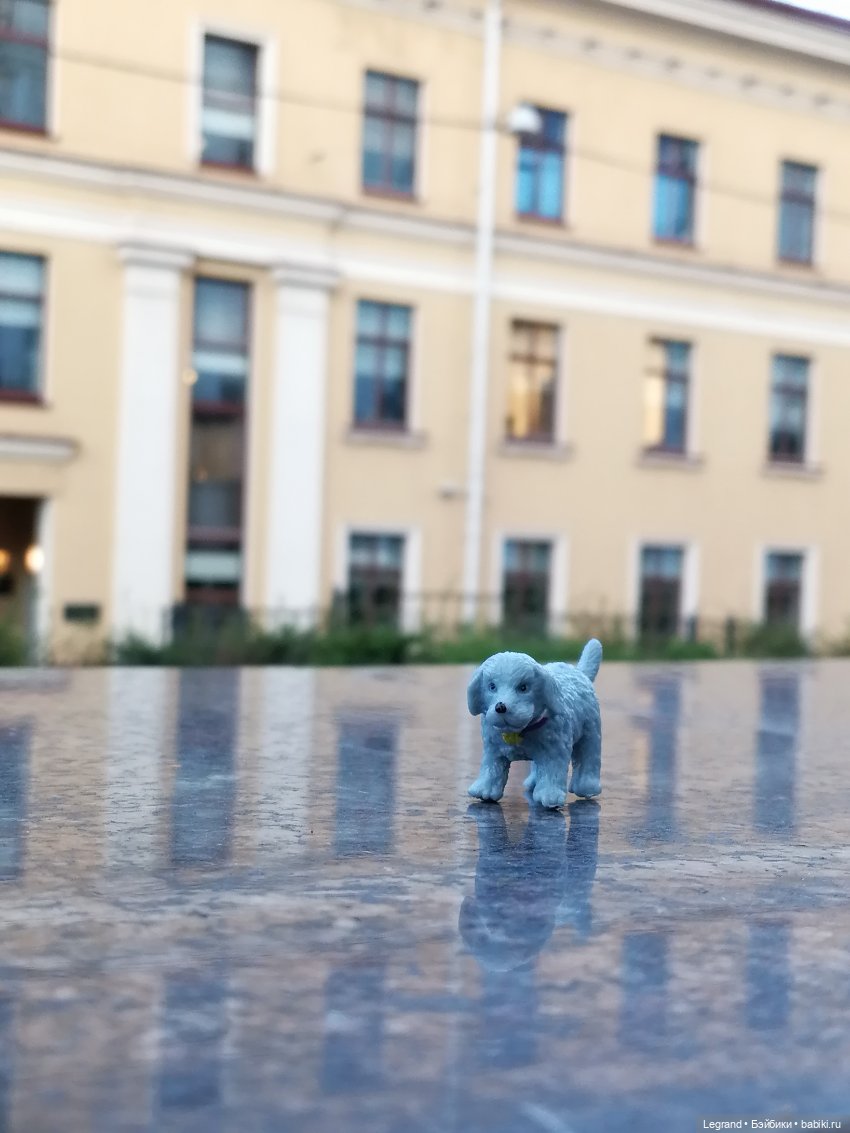 Лурения - Петербург: небольшая прогулка с собачками от Kari