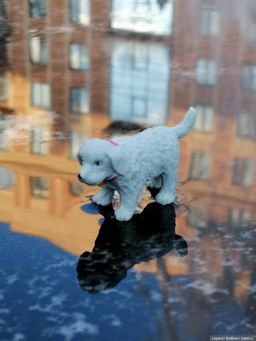 Лурения - Петербург: небольшая прогулка с собачками от Kari (фото 10)