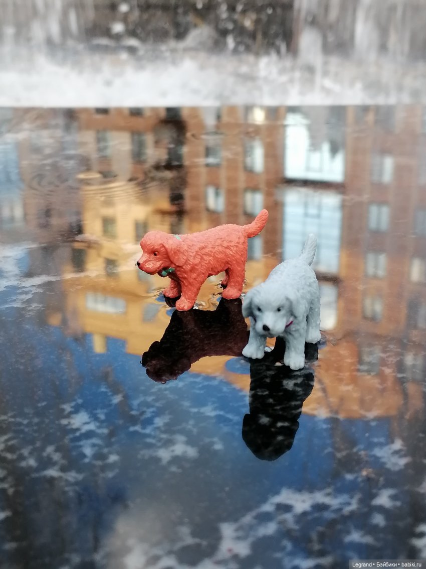 Лурения - Петербург: небольшая прогулка с собачками от Kari (фото 9)