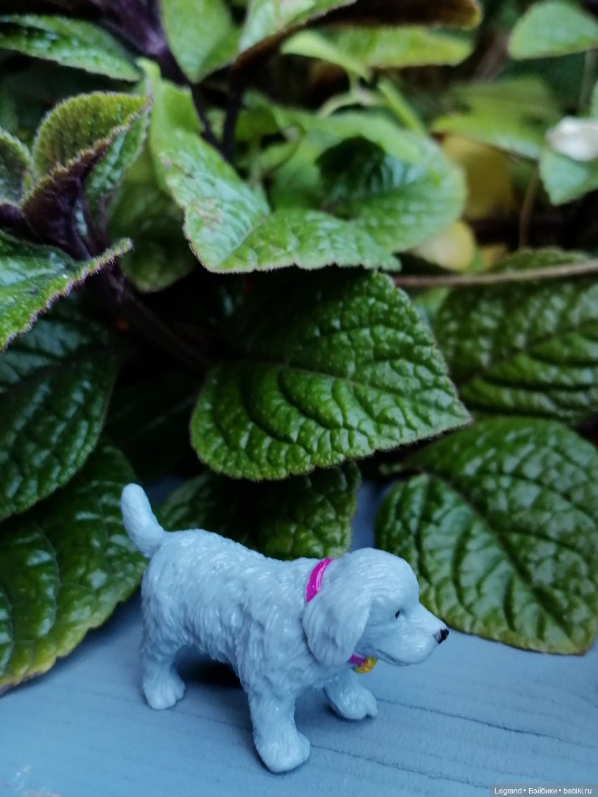 Лурения - Петербург: небольшая прогулка с собачками от Kari