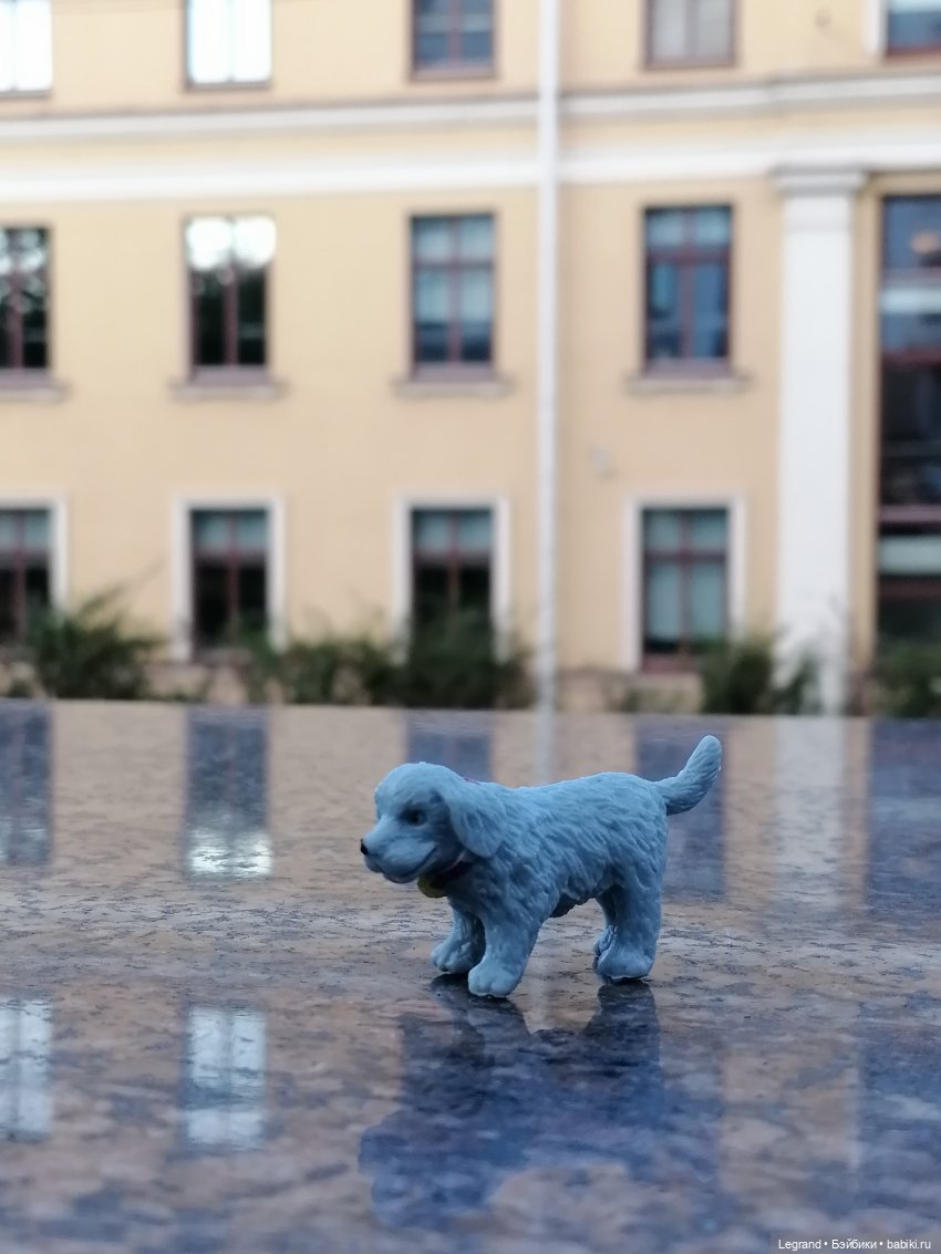 Лурения - Петербург: небольшая прогулка с собачками от Kari