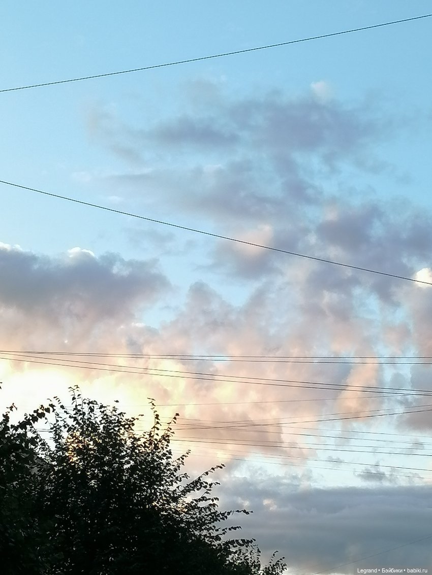 Лурения - Петербург: небольшая прогулка с собачками от Kari