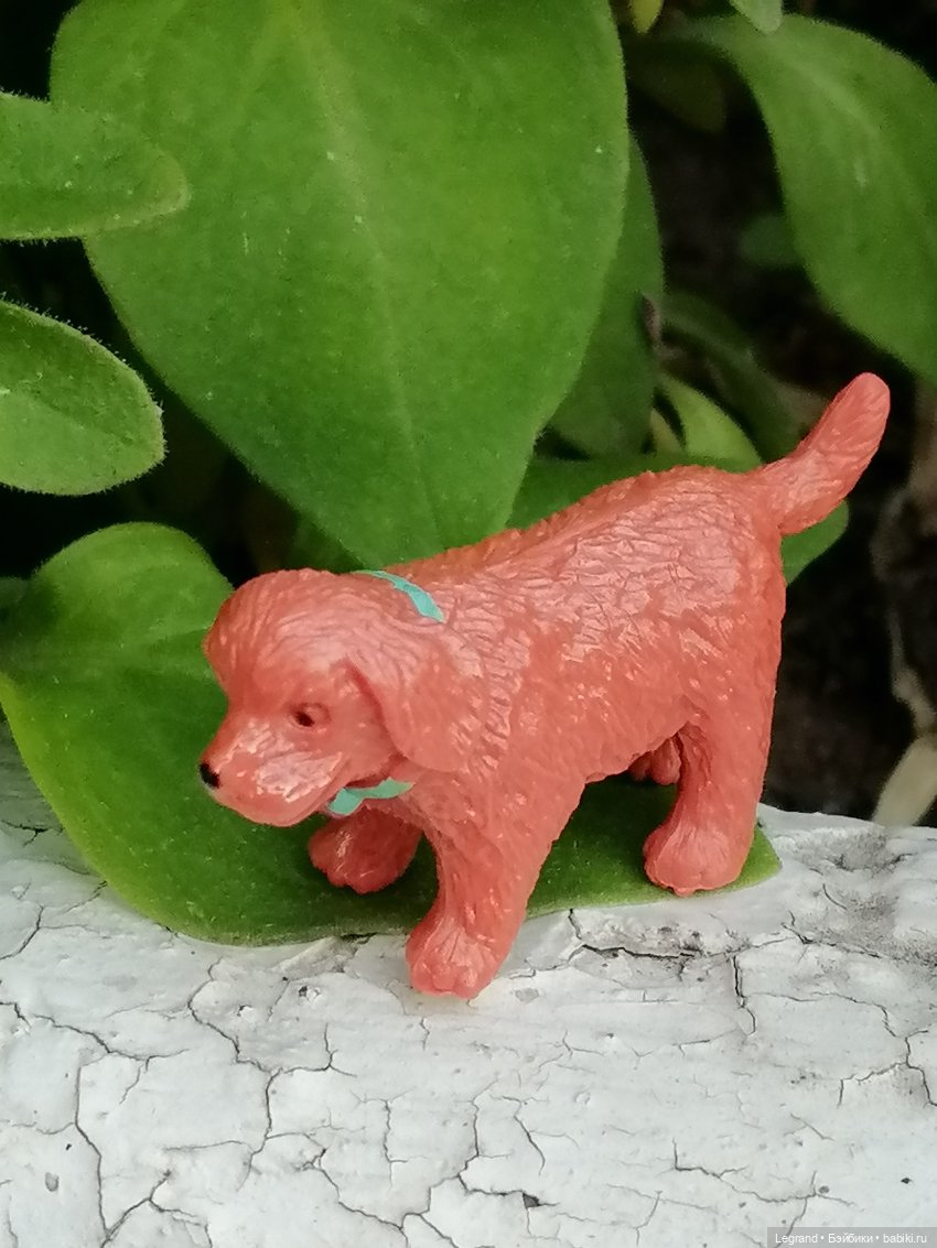 Лурения - Петербург: небольшая прогулка с собачками от Kari