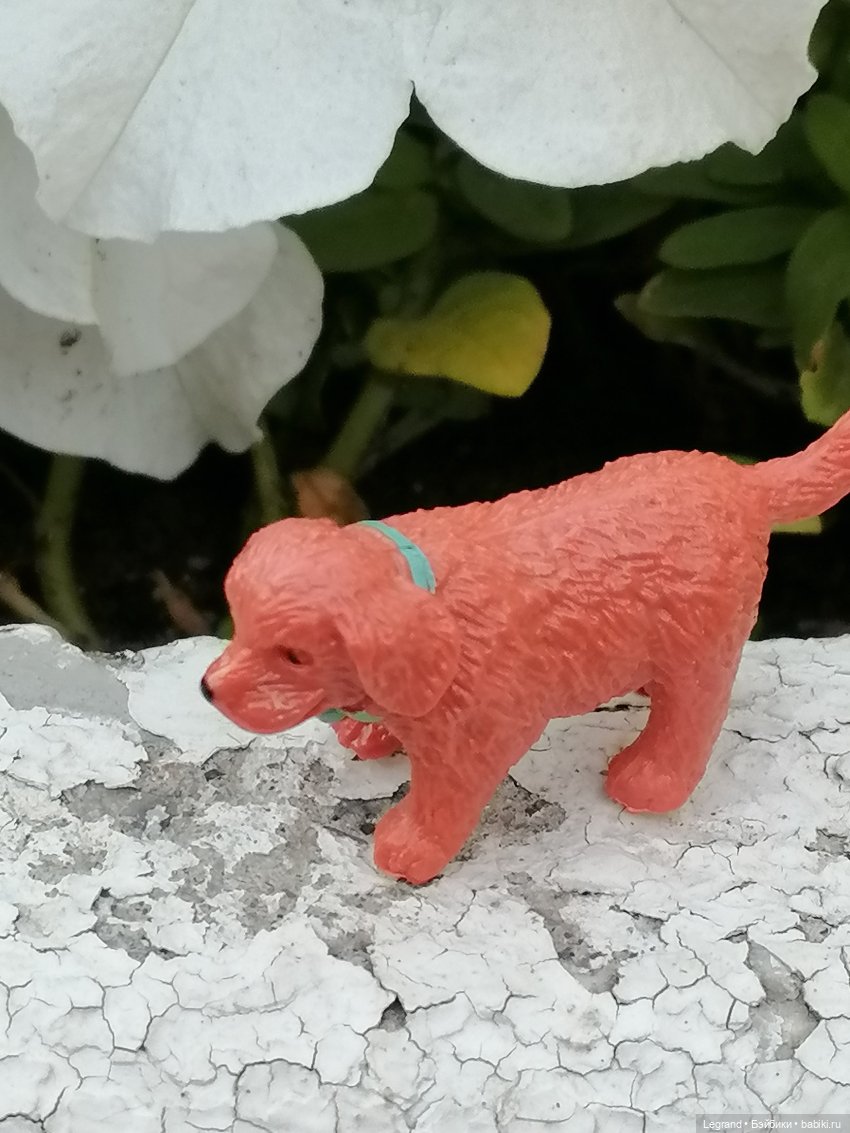 Лурения - Петербург: небольшая прогулка с собачками от Kari