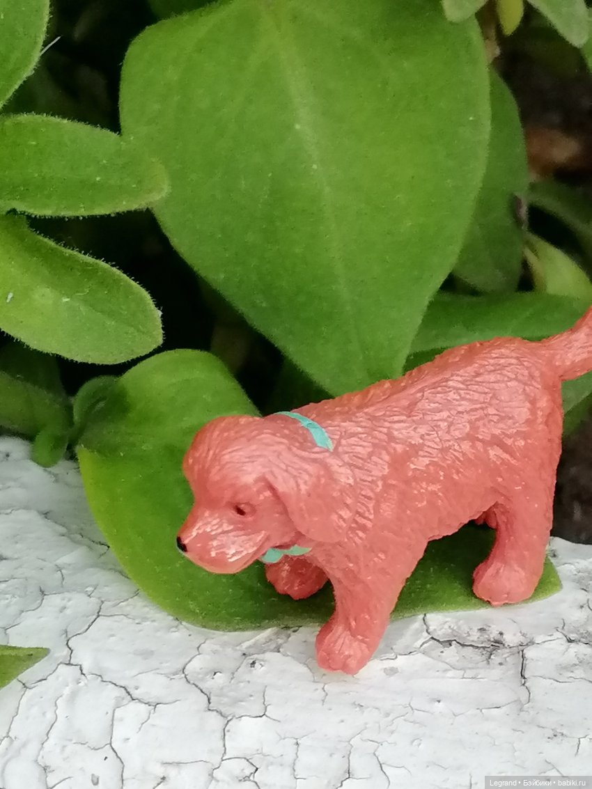 Лурения - Петербург: небольшая прогулка с собачками от Kari