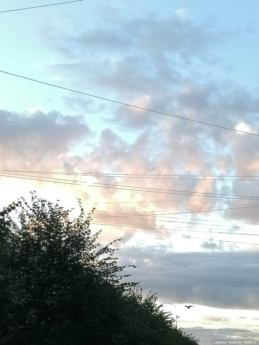 Лурения - Петербург: небольшая прогулка с собачками от Kari