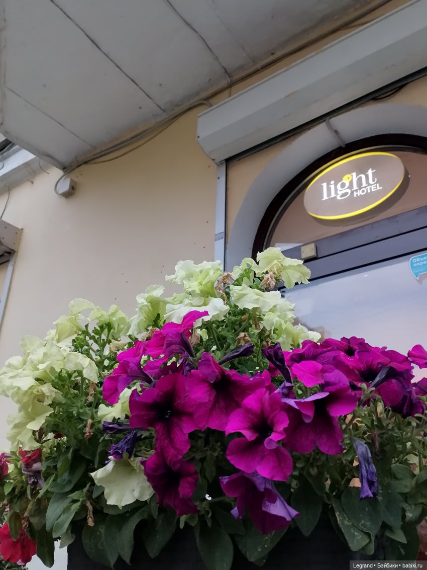 Санкт-Петербург: середина августа