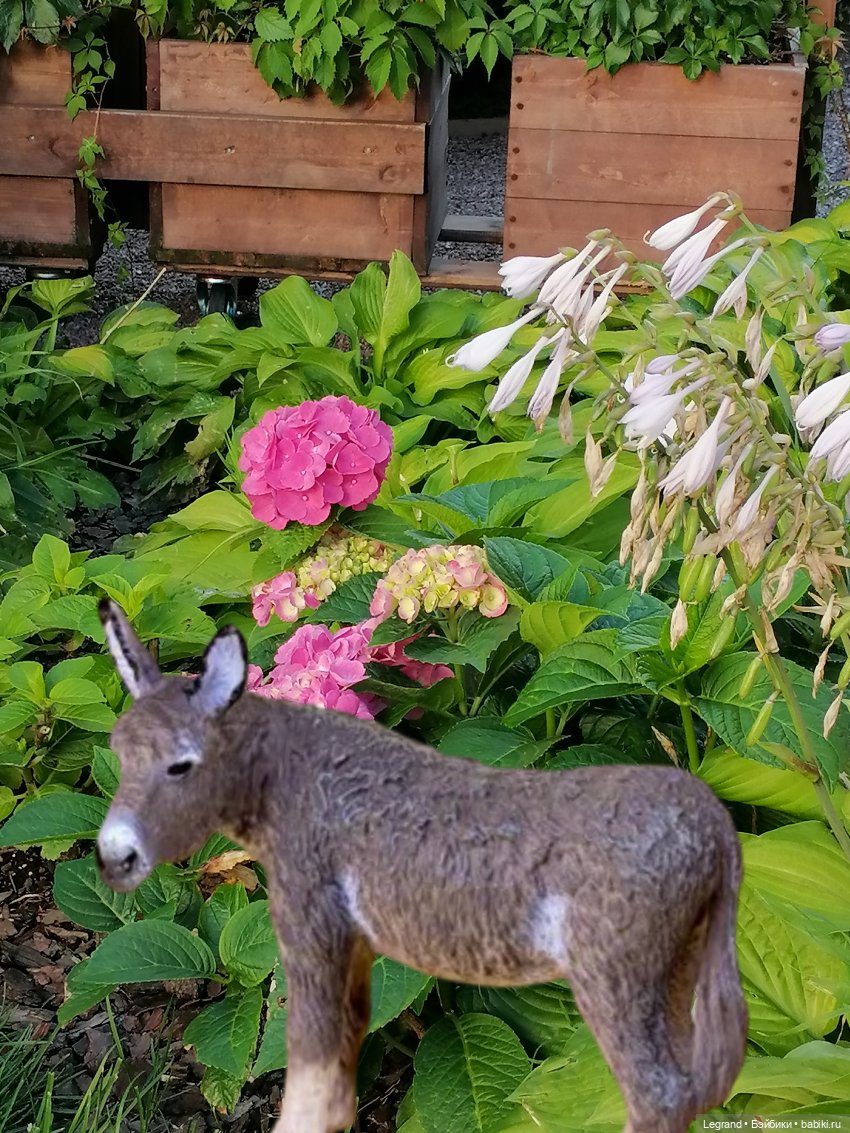 Лурения: новости из особняка Сигурда