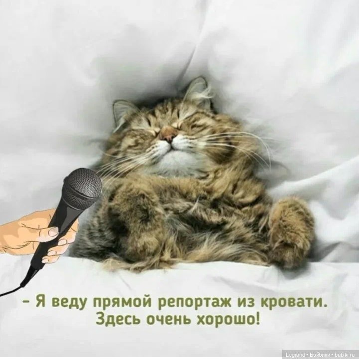 Лурения: Хальвар вернулся!😊