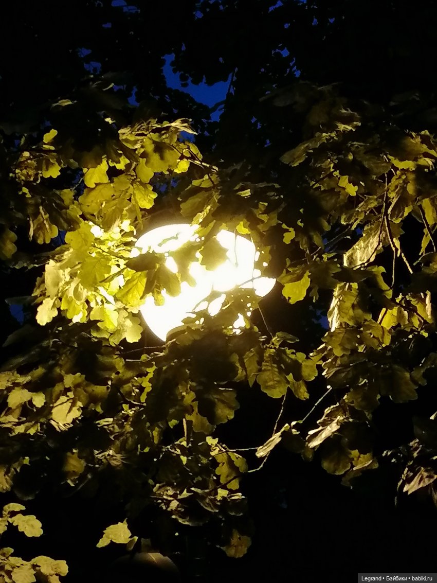 Санкт-Петербург: конец августа