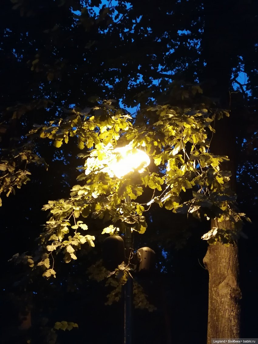 Санкт-Петербург: конец августа