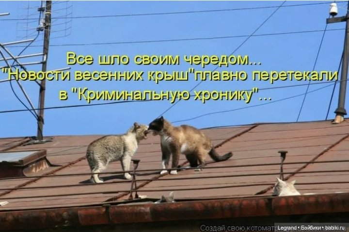 Лурения - Петербург: День гуляний по крышам😊