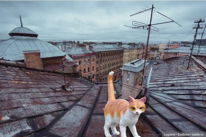 Лурения - Петербург: День гуляний по крышам😊 (фото 5)