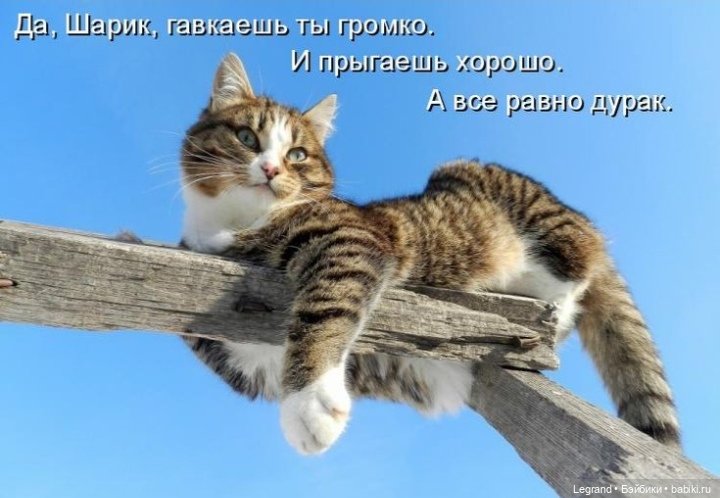 Лурения - Петербург: День гуляний по крышам😊