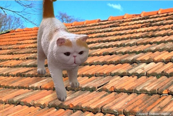 Лурения - Петербург: День гуляний по крышам😊 (фото 8)