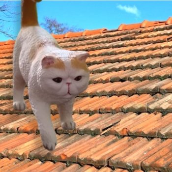 Лурения - Петербург: День гуляний по крышам😊