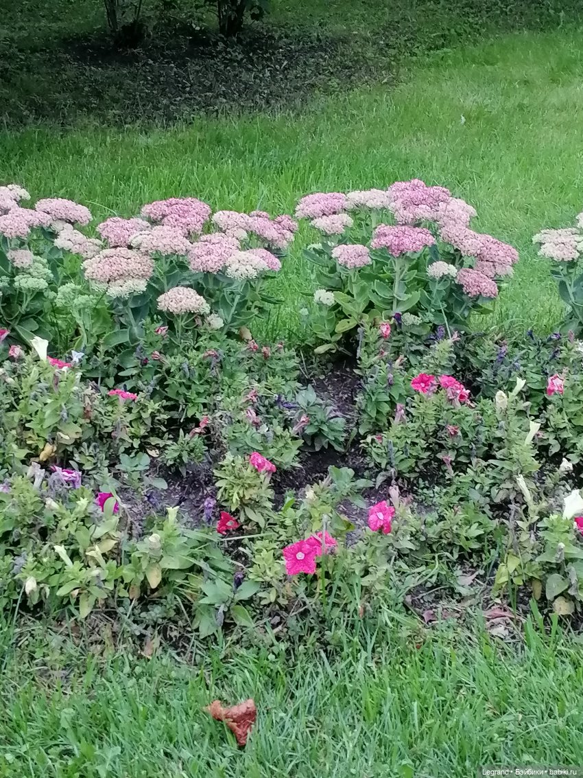 Санкт-Петербург: Таврический сад в последний день лета (фото 4)