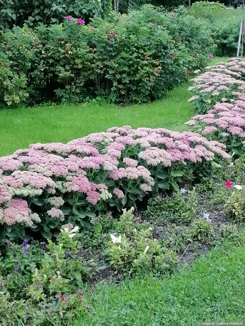 Санкт-Петербург: Таврический сад в последний день лета (фото 5)