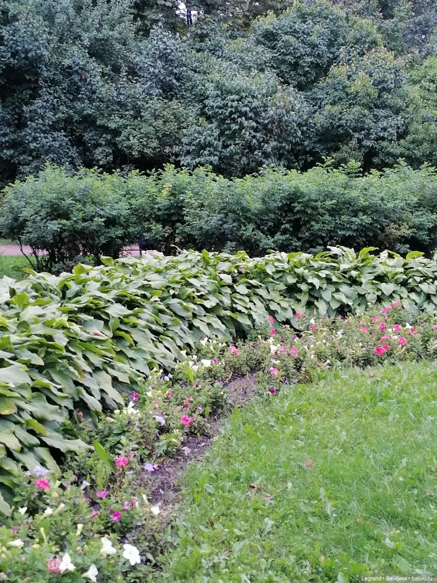 Санкт-Петербург: Таврический сад в последний день лета (фото 2)