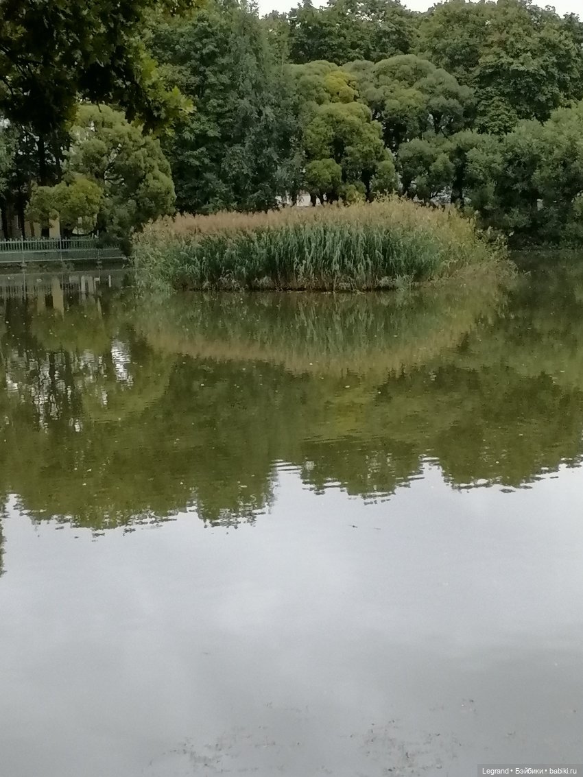 Санкт-Петербург: Таврический сад в последний день лета