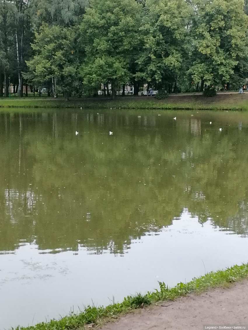 Санкт-Петербург: Таврический сад в последний день лета