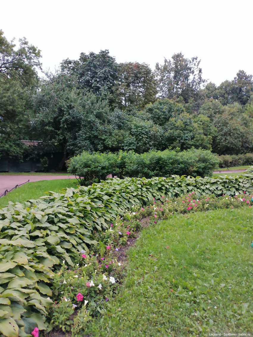 Санкт-Петербург: Таврический сад в последний день лета (фото 3)