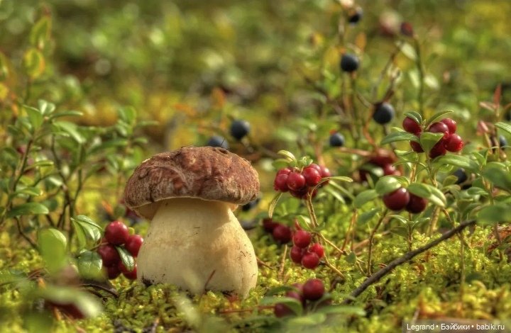 Лурения: Хальвар и Жасмин снова с вами, друзья!😊 (фото 3)