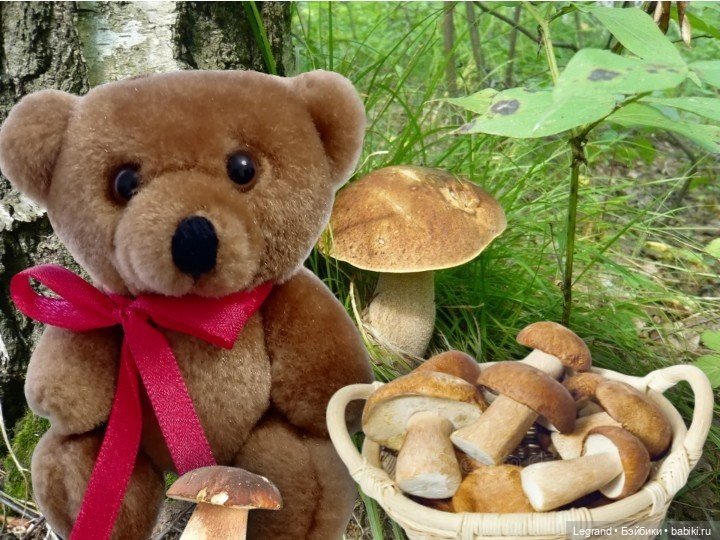 Лурения - День сбора грибов