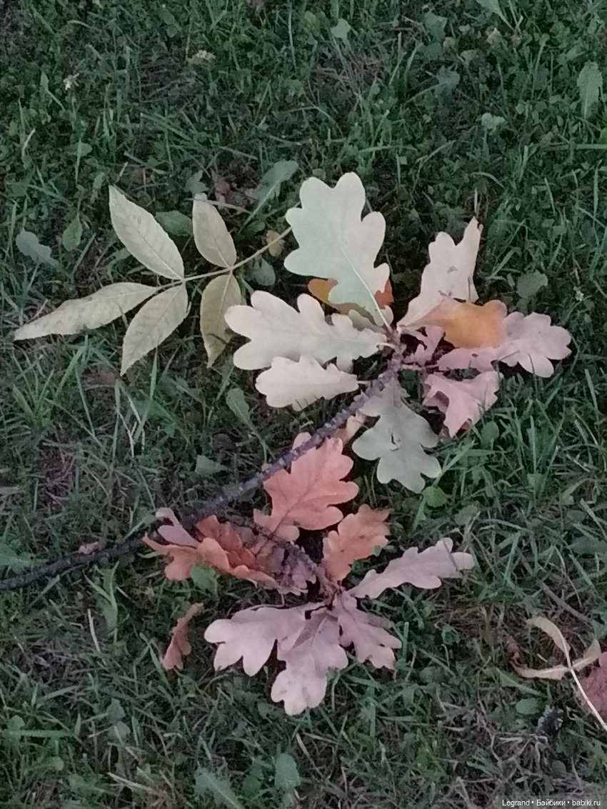 Санкт-Петербург: осень, вечерние фото (фото 3)