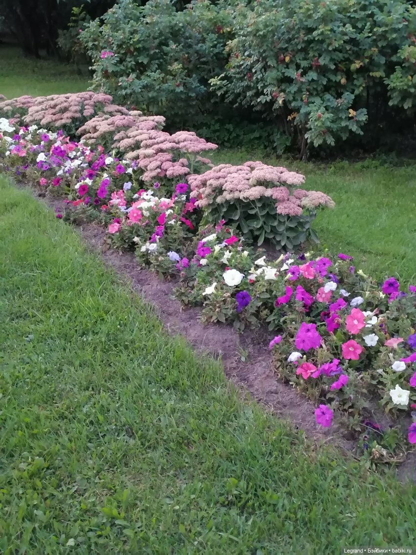 Санкт-Петербург: осень, вечерние фото