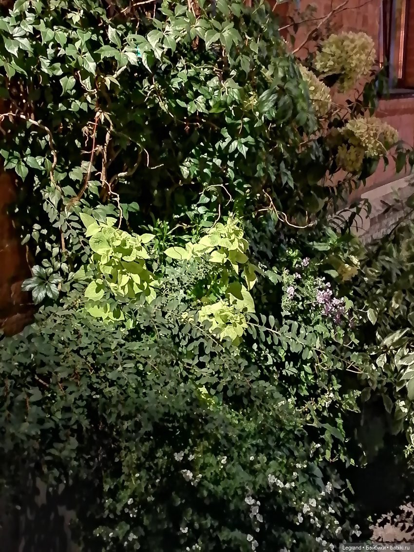 Санкт-Петербург: осень, вечерние фото