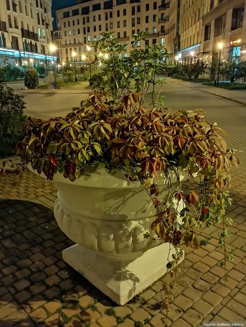 Санкт-Петербург: осень, вечерние фото