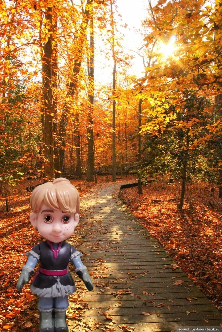 Лурения: Хальвар и его планы (фото 5)