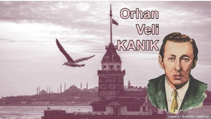 Из жизни моих мишек: Мишель, ещё один блогер😊 (фото 8)