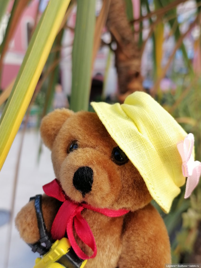 Из жизни моих мишек: Мишель, ещё один блогер😊 (фото 6)