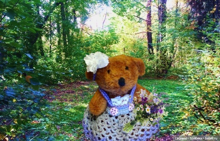 Из жизни моих мишек: Мишель, ещё один блогер😊