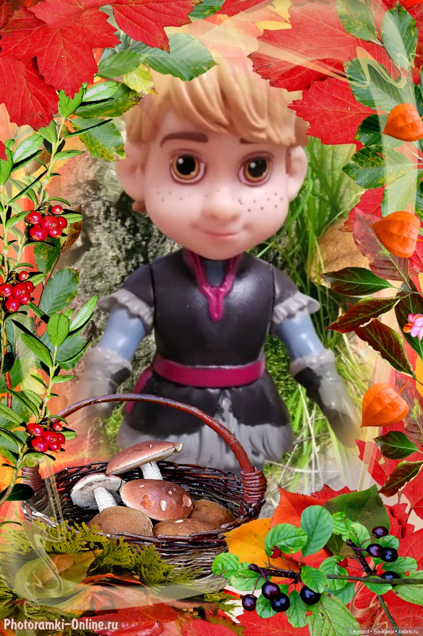 Из жизни моих мишек: Мишель, ещё один блогер😊 (фото 4)