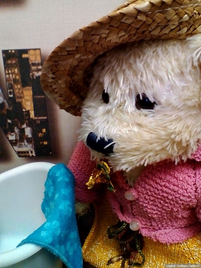 Из жизни моих мишек: Мишель, ещё один блогер😊