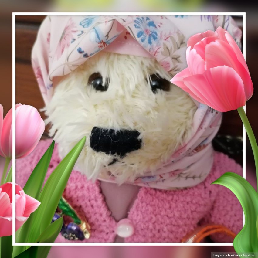 Из жизни моих мишек: Мишель, ещё один блогер😊