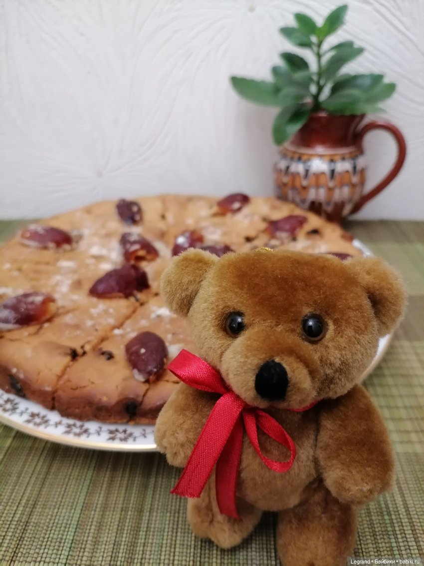 Из жизни моих мишек: Мишель, ещё один блогер😊 (фото 2)