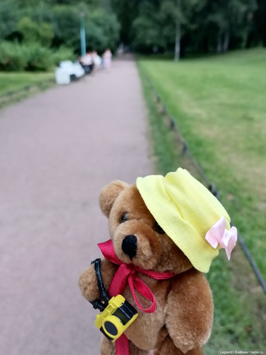 Из жизни моих мишек: Мишель, ещё один блогер😊 (фото 3)