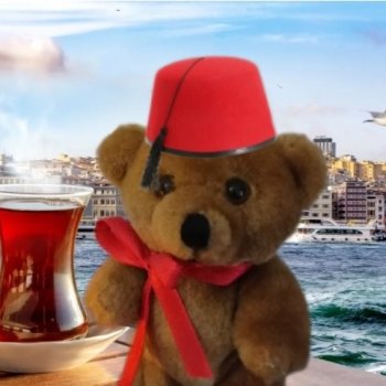 Из жизни моих мишек: Мишель, ещё один блогер😊