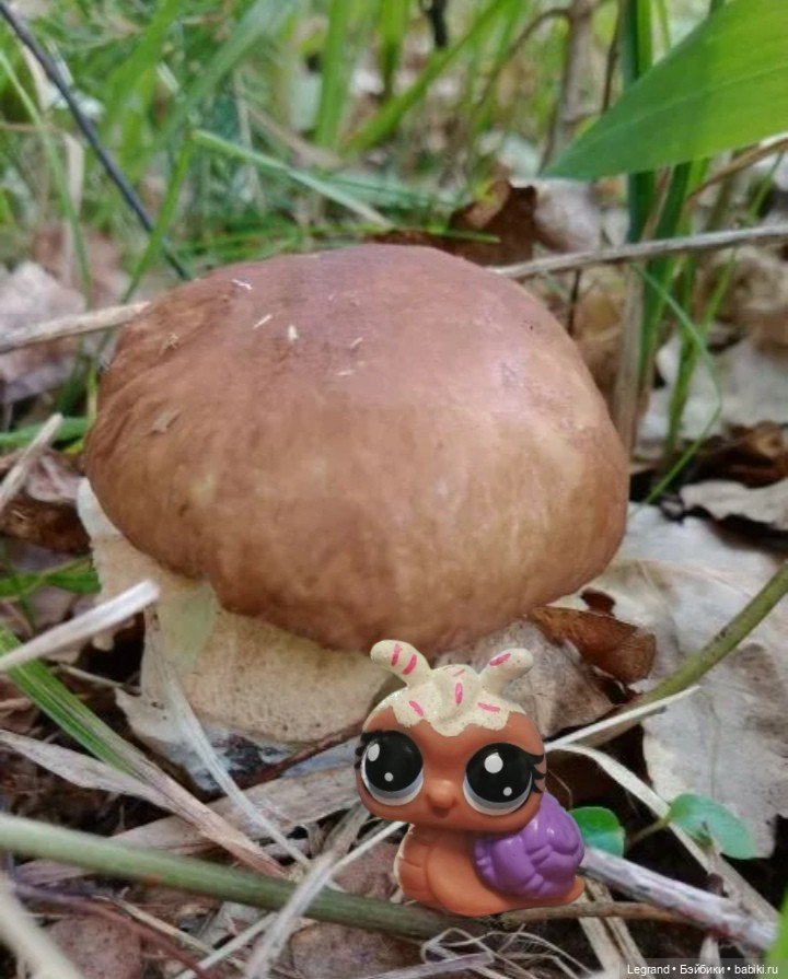 Лурения: Верхний сад - белочка, Стефан и Гюлиз | Бэйбики Лурения: Верхний сад - белочка, Стефан и Гюлиз (фото 2)