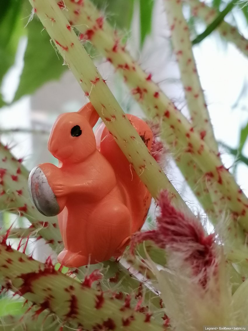 Лурения: Верхний сад - белочка, Стефан и Гюлиз | Бэйбики Лурения: Верхний сад - белочка, Стефан и Гюлиз