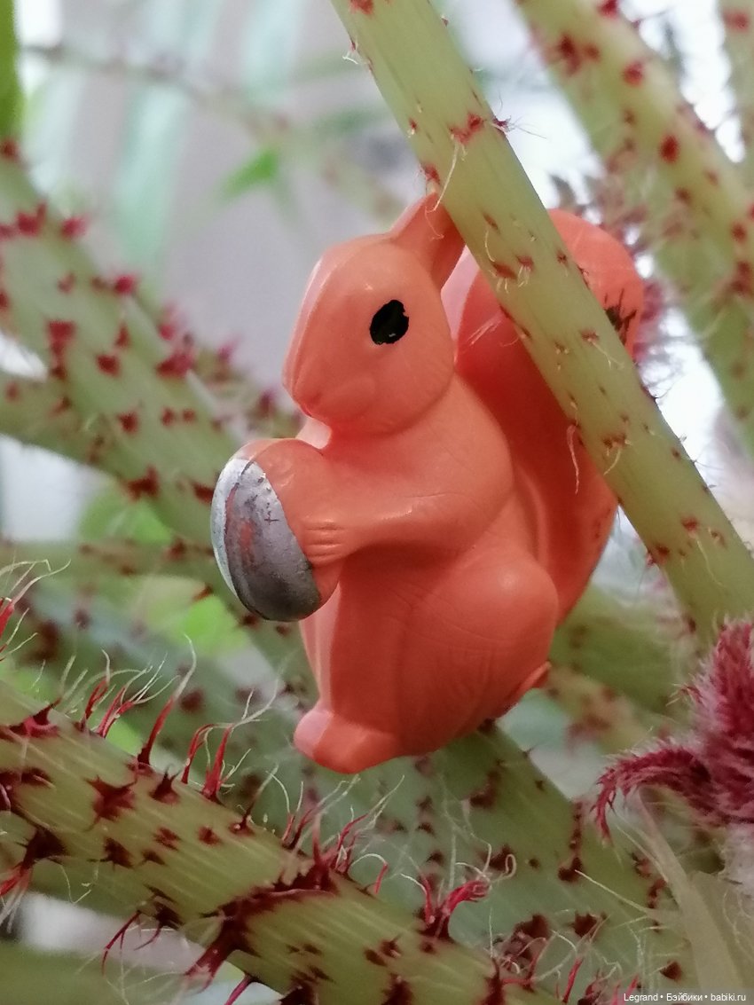 Лурения: Верхний сад - белочка, Стефан и Гюлиз | Бэйбики Лурения: Верхний сад - белочка, Стефан и Гюлиз (фото 10)