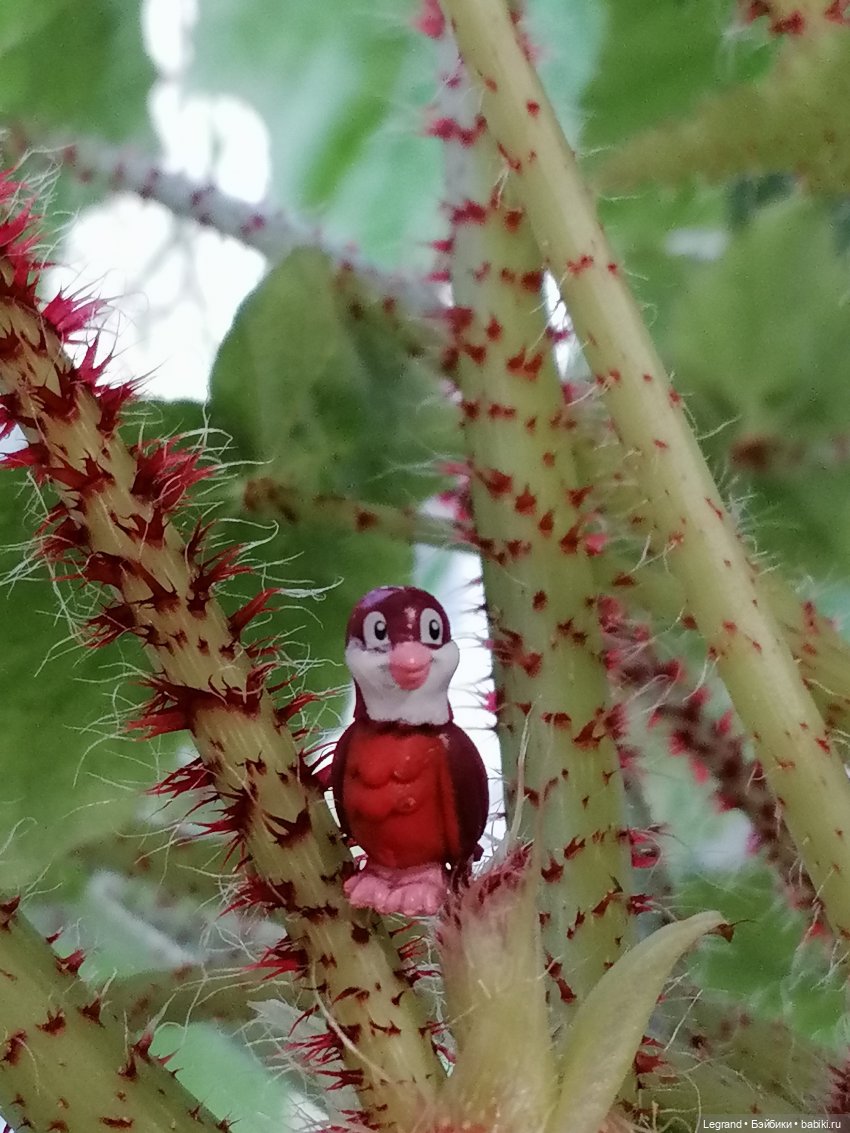 Лурения: Верхний сад - белочка, Стефан и Гюлиз | Бэйбики Лурения: Верхний сад - белочка, Стефан и Гюлиз